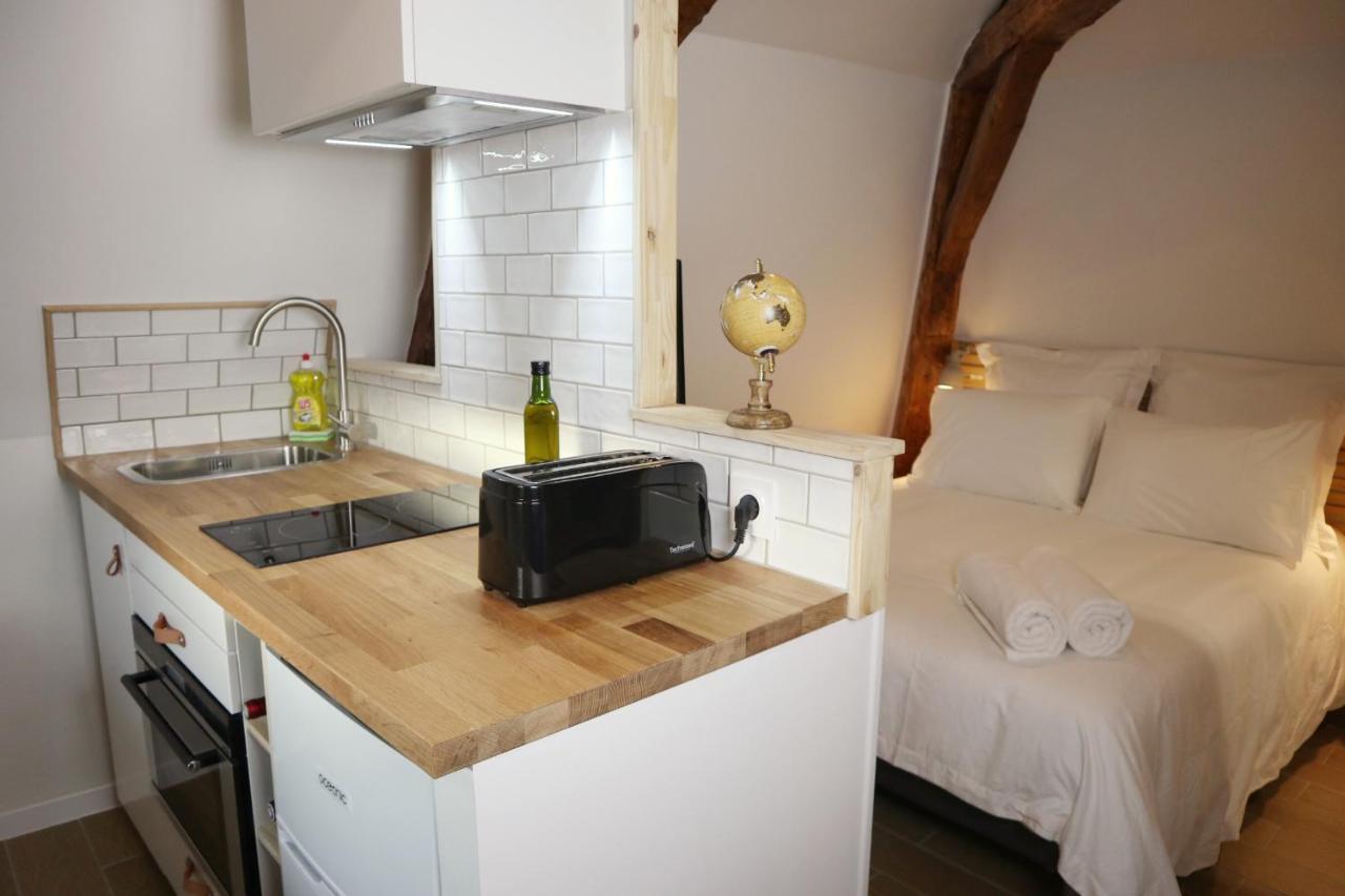 Villa Noellet - Clermont Ferrand Aubière Esterno foto